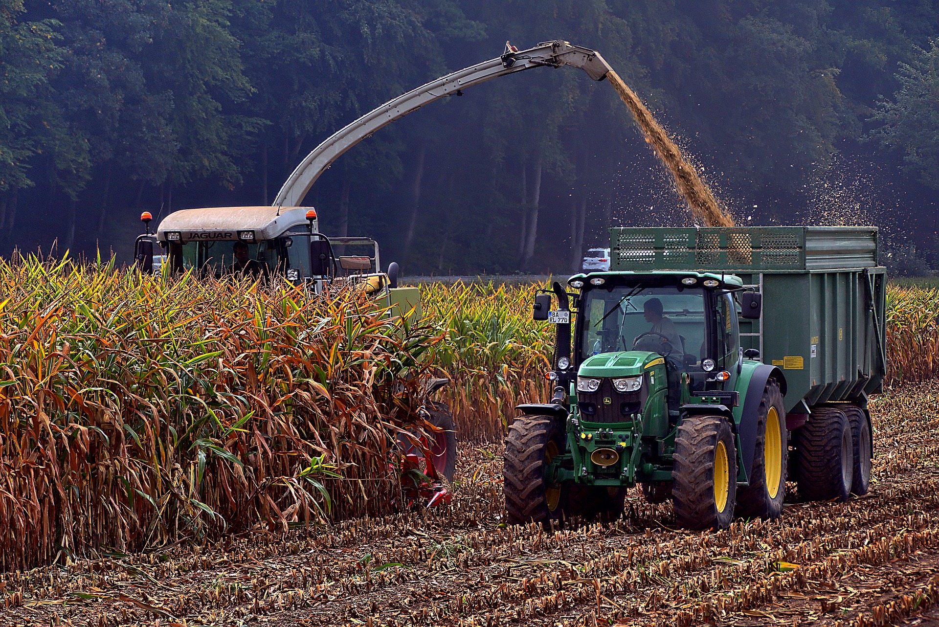 corn-harvest-5596982_1920